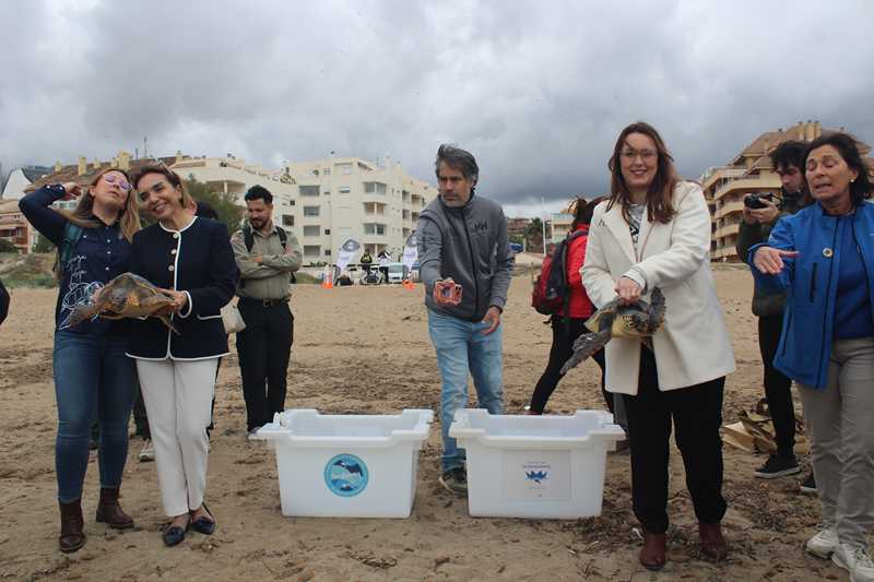  Dénia y el parque nacional de Tortuguero se alían en la protección de las tortugas marinas que anidan en sus playas 
