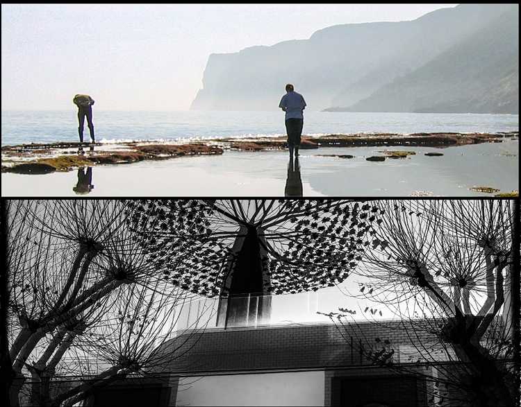 Curiosidad e Invierno, segundos premios de cada categoría