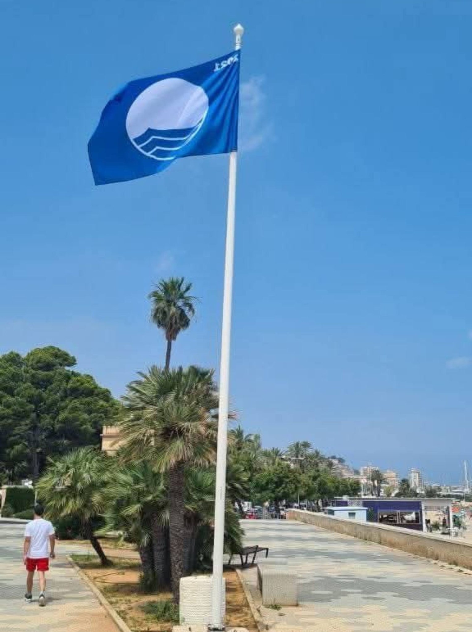 Dénia revalida les set Banderes Blaves per a l'estiu 2026
