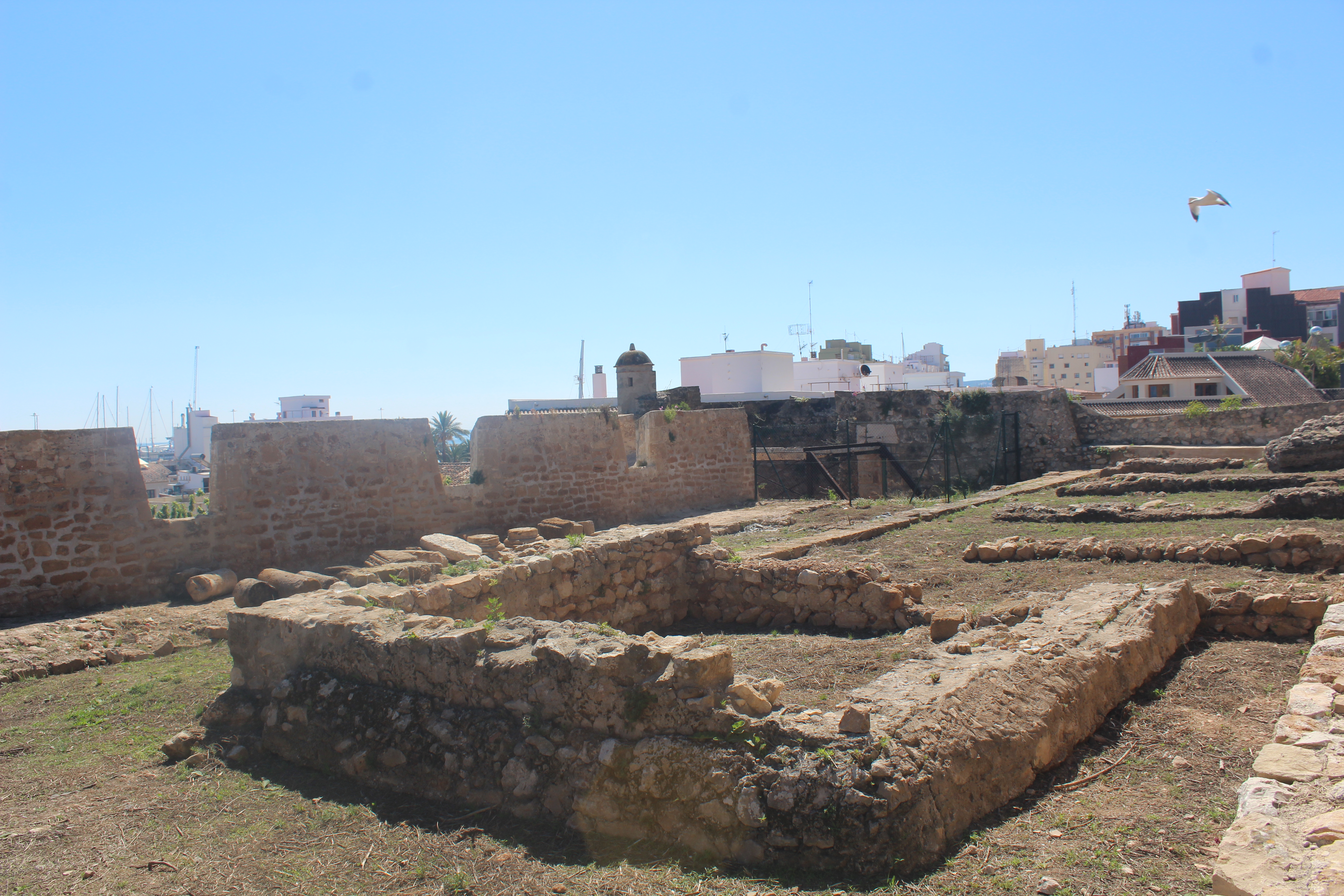 El projecte de restauració del Verger Baix del Castell de Dénia deixa al descobert un conjun...