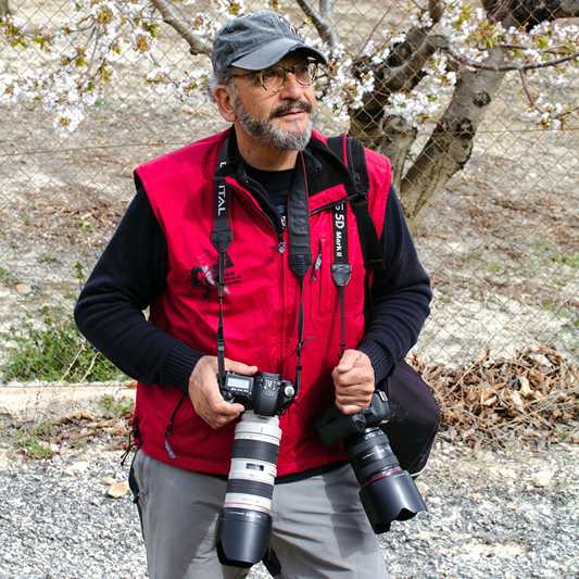 Paco Adsuar, fotografiat per Alfredo Sanz