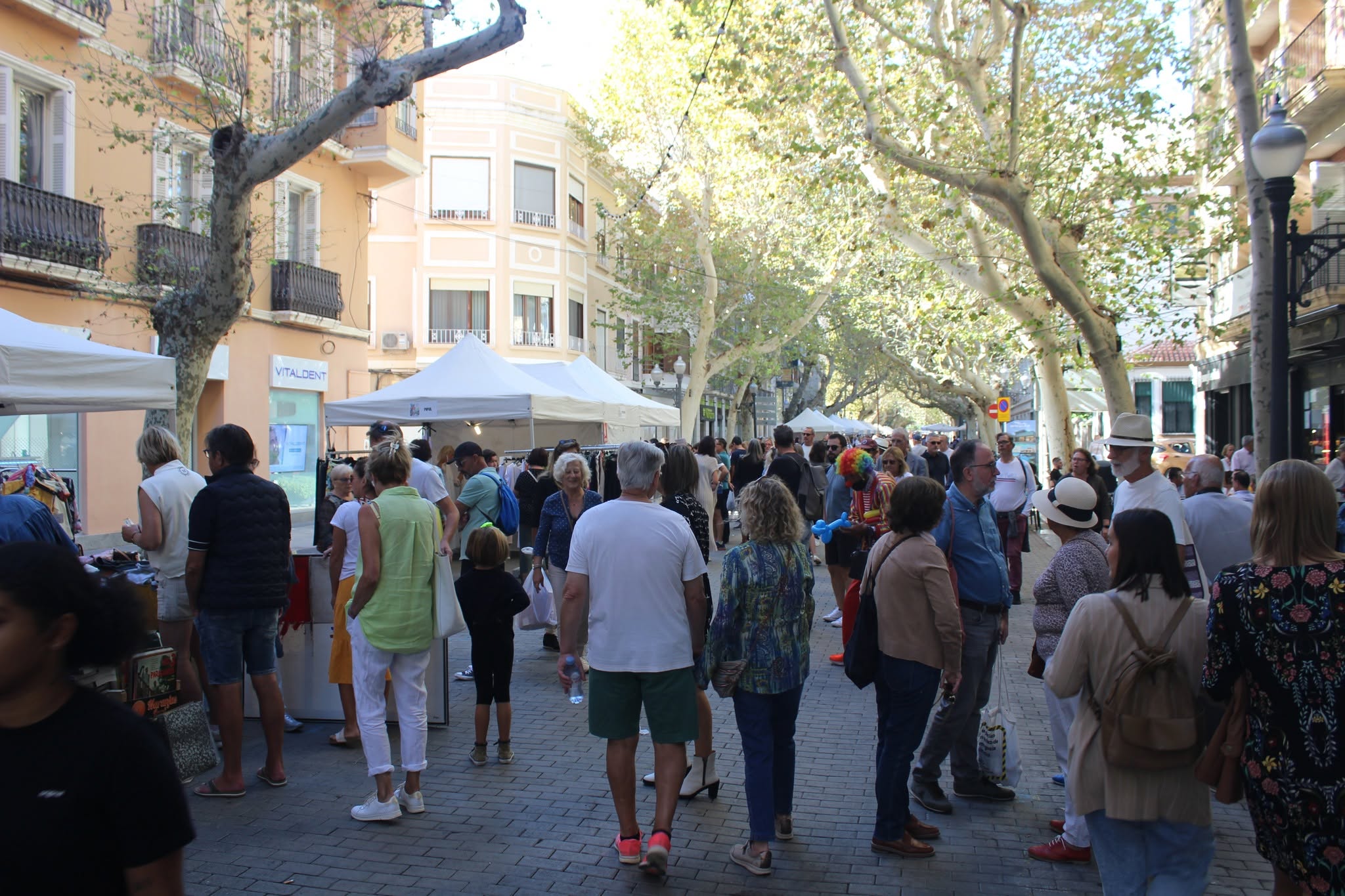  Dénia impulsa la digitalización de 15 empresas locales con un programa de mentorización en marketing digital 