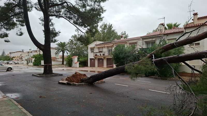  Las ayudas por los daños de la dana Adam en Dénia se pueden solicitar a partir del 2 de nov...